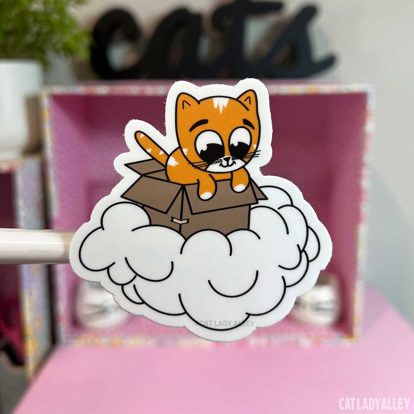 Box Cat Dreamer Sticker