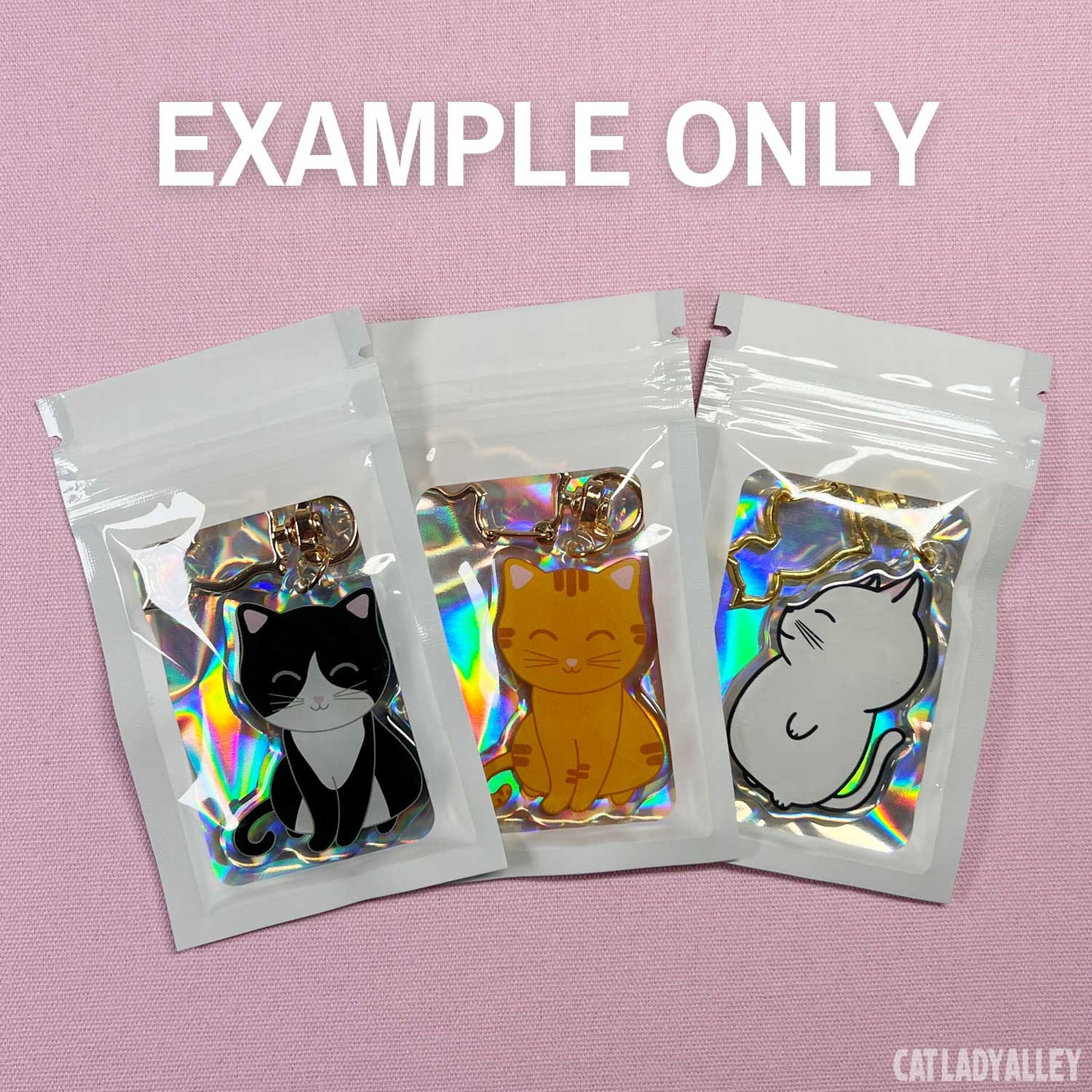 example b grade keychains in bags