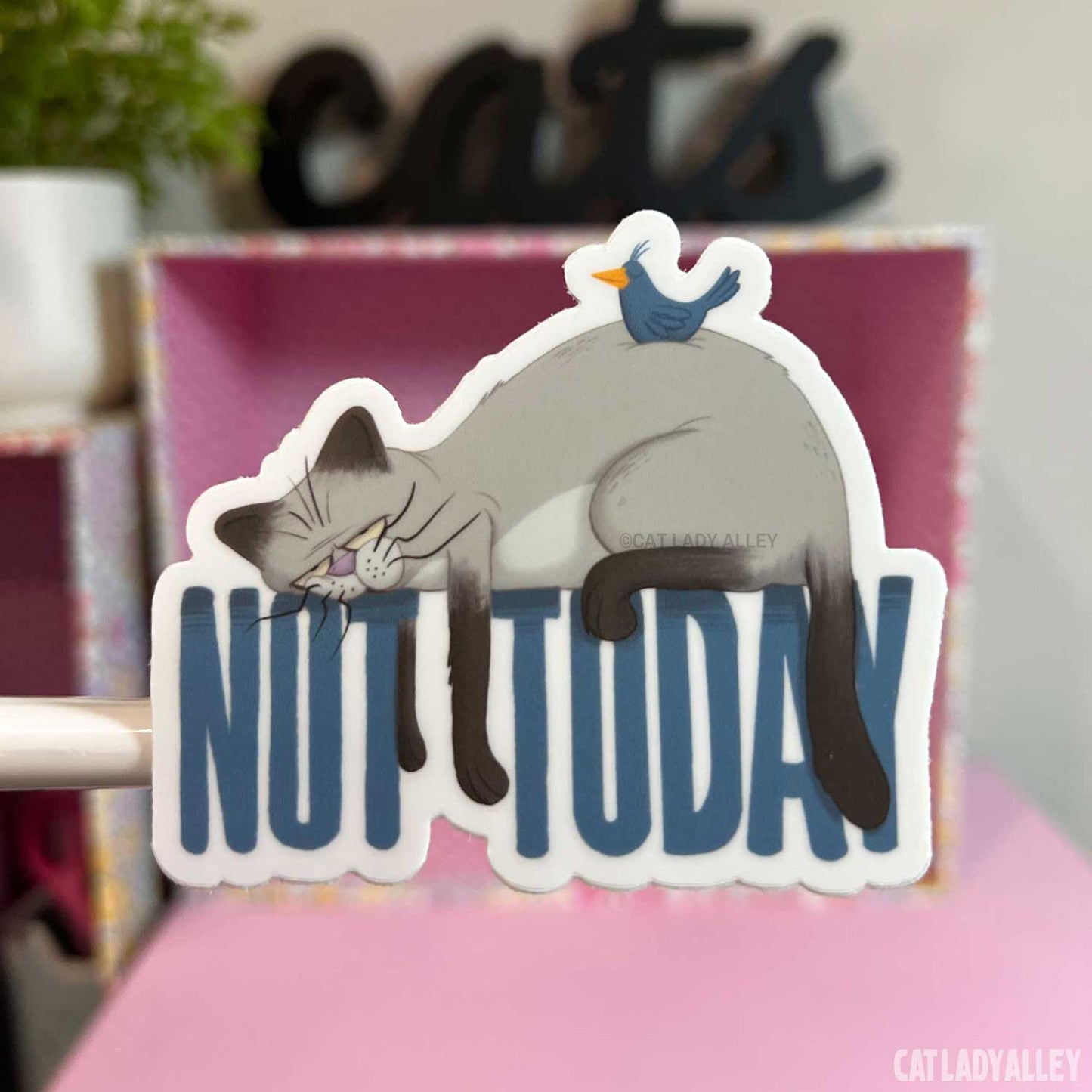 not today matte vinyl sticker