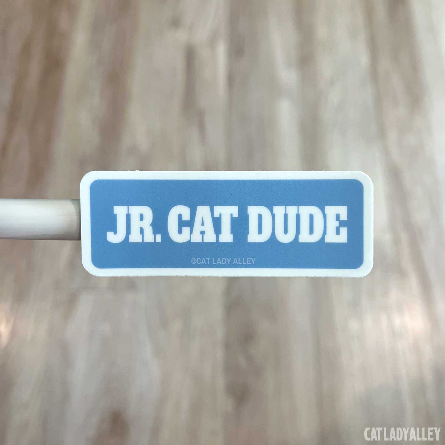 jr cat dude sticker