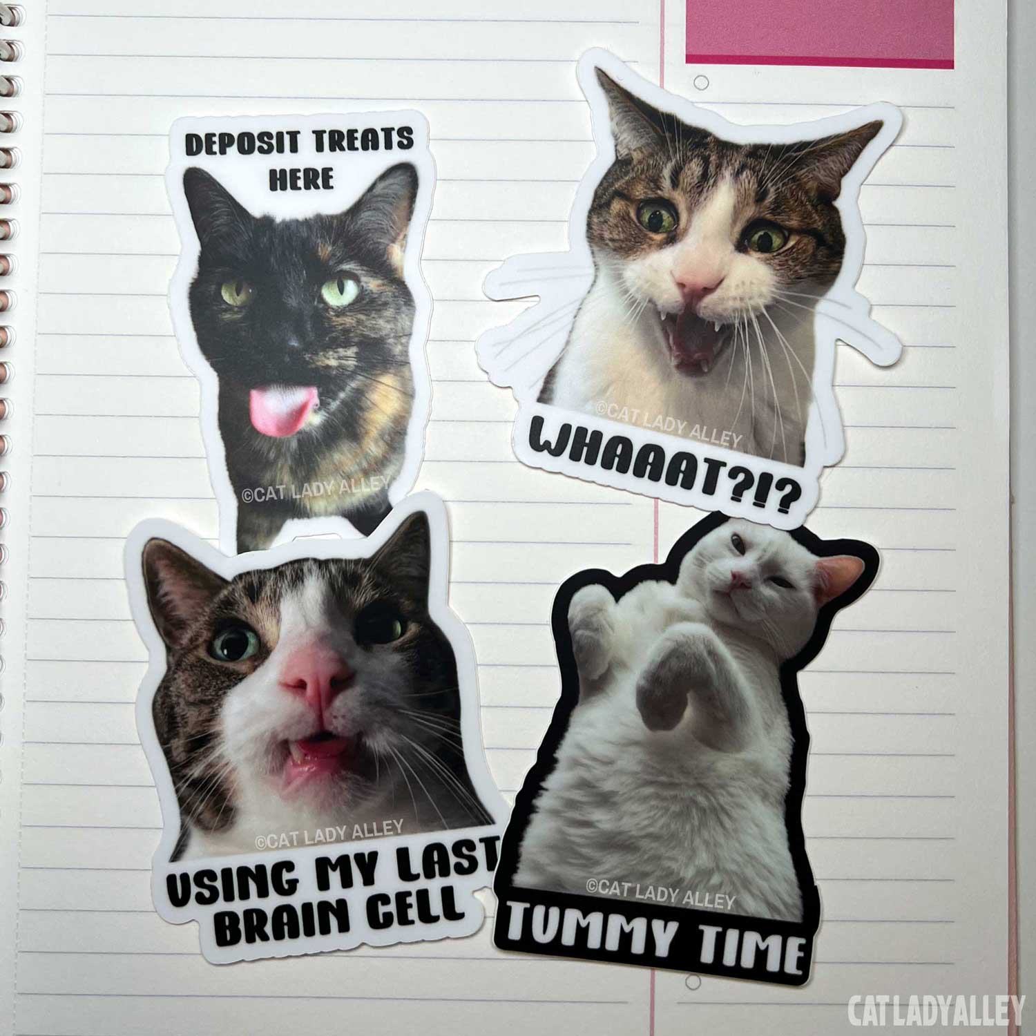 set of cat photo stickers