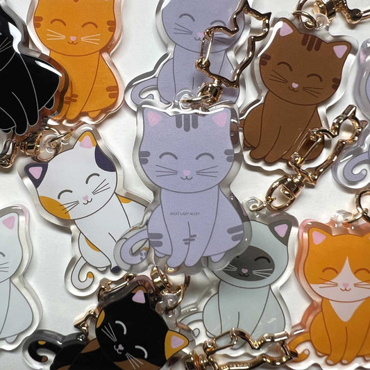 Gray Tabby at Keychain