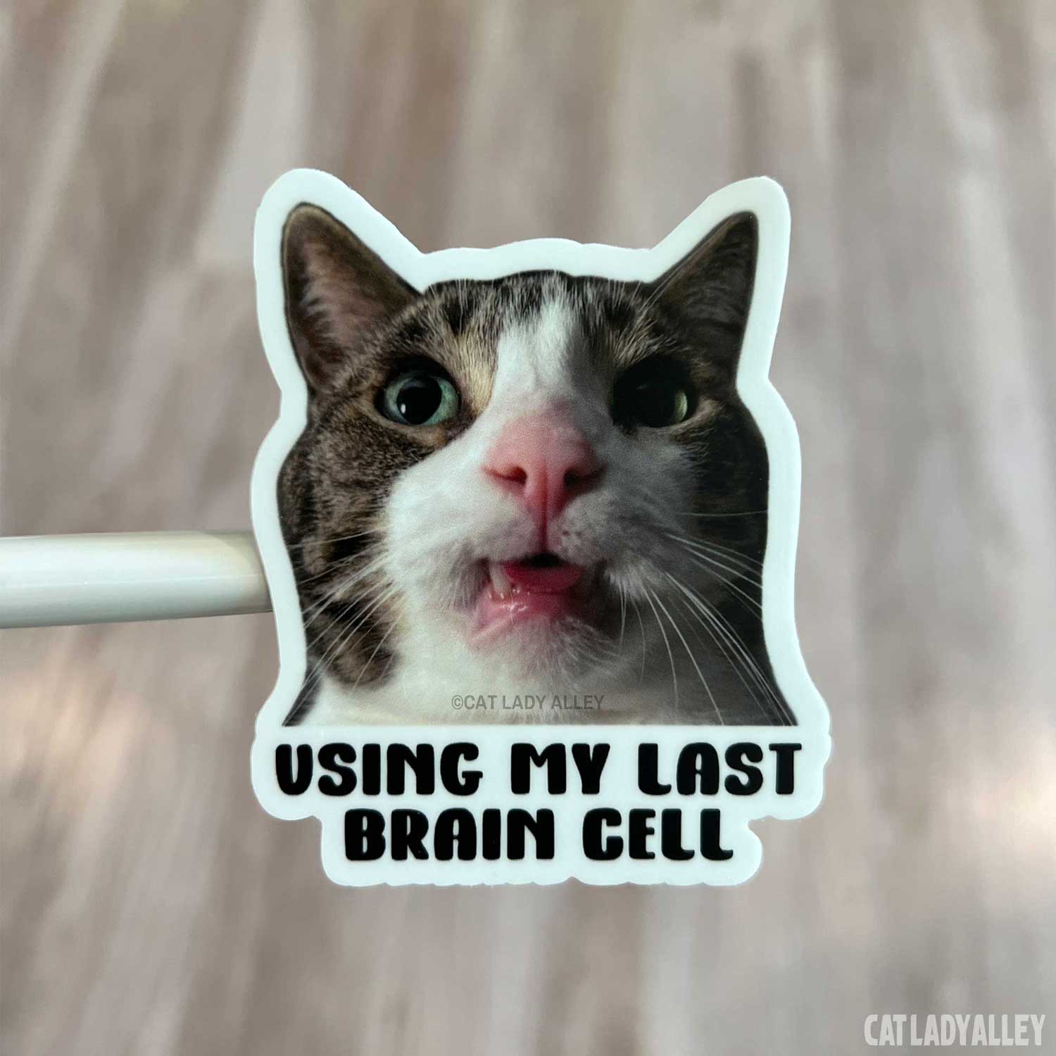 using my last brain cell funny cat sticker