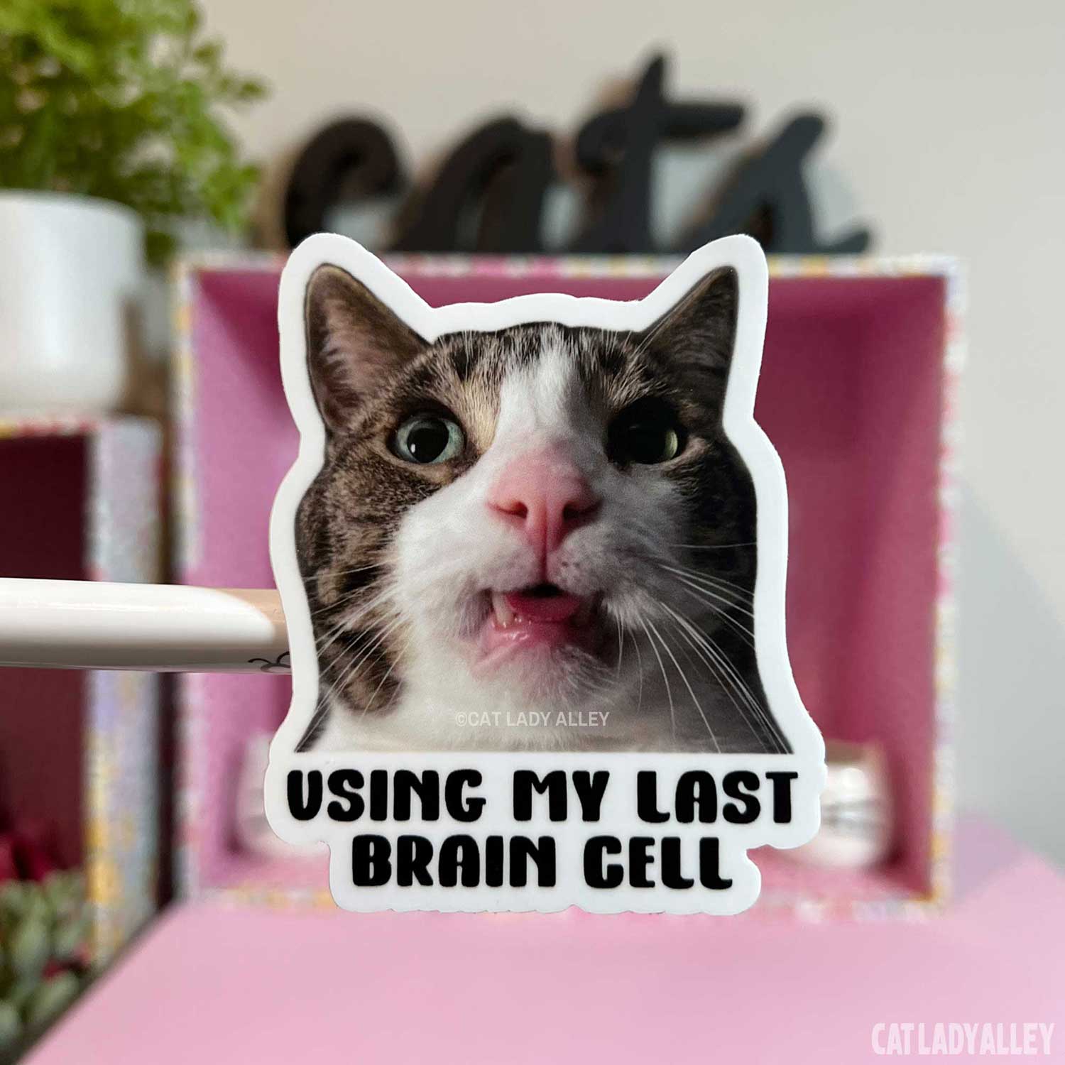 funny tabby cat sticker blep