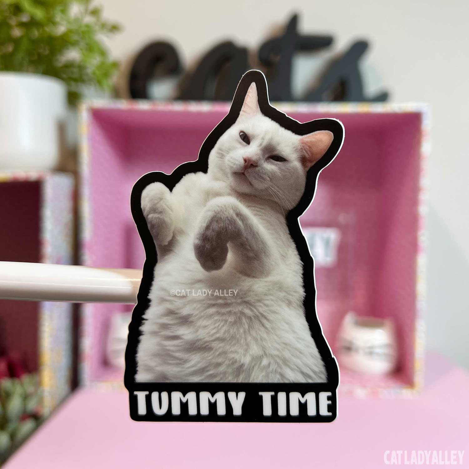 white cat photo sticker tummy time