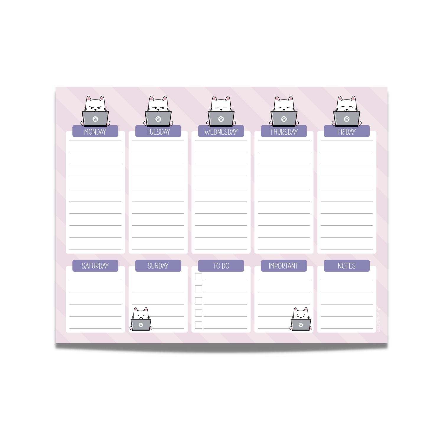 weekly planner with illustrated cats