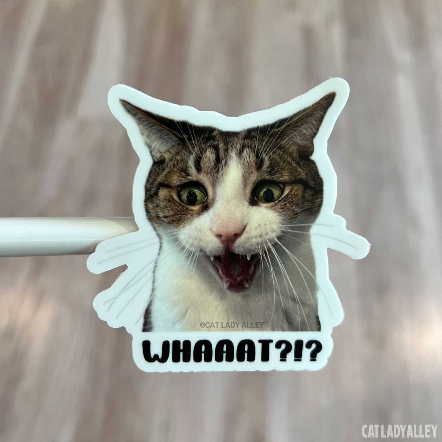 funny tabby cat photo sticker